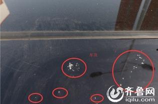 赵先生最新爆料新闻,揭秘娱乐圈最新劲爆新闻  第1张