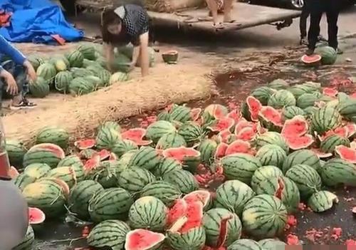 陇南网红吃瓜满床跑,揭秘网络红人的日常生活  第1张